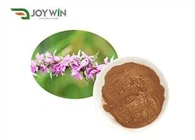 Bột chiết xuất thảo mộc Motherwort