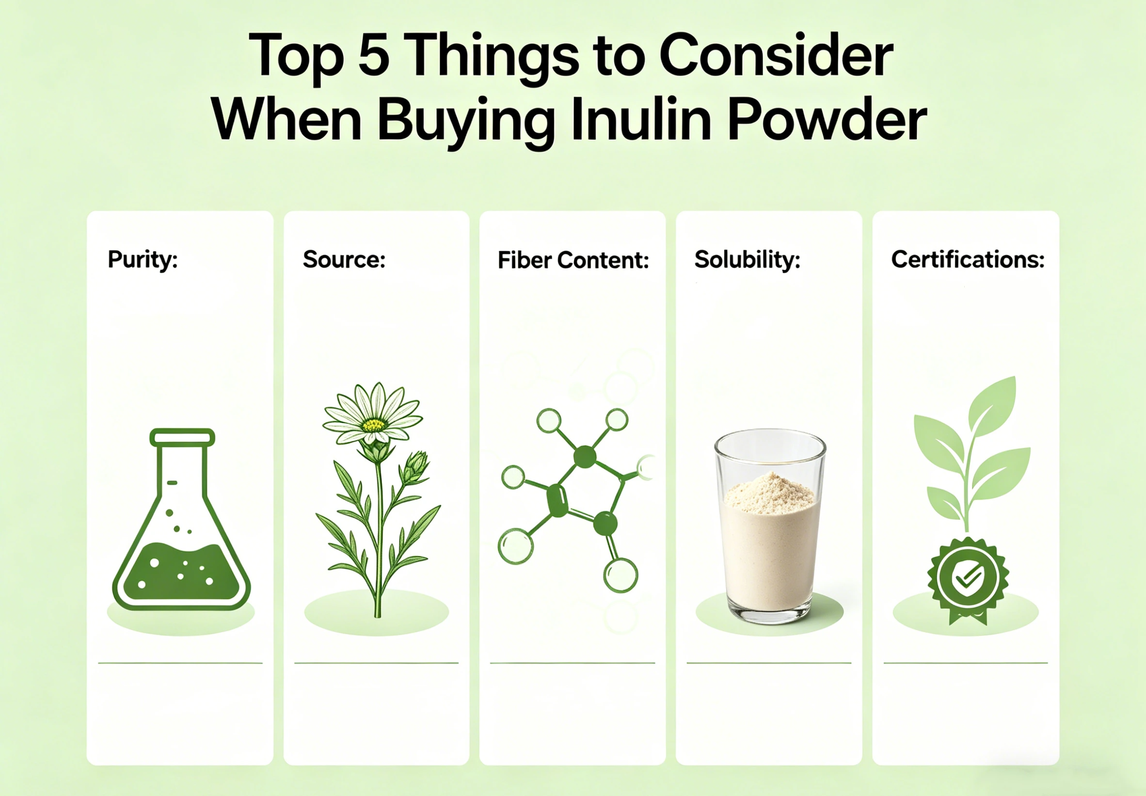 Top 5 Điều Cần Lưu Ý Khi Mua Bột Inulin